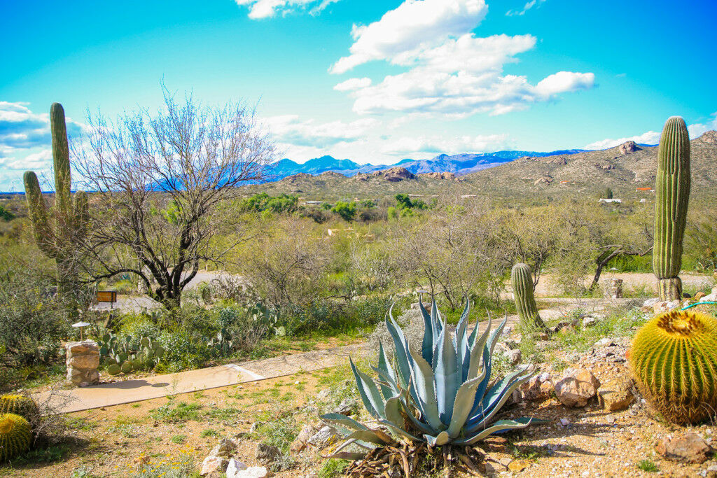 Tanque Verde Guest Ranch Tucson Exterior foto